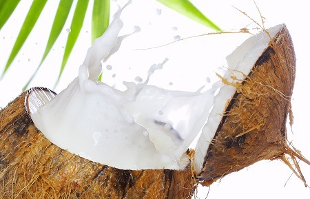 photo of coconut milk used to make coconut oil
