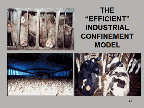 industrial-confinement