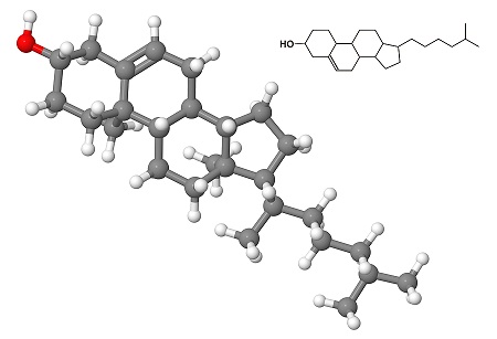 Cholesterol_Molecule image of a cholesterol molecule