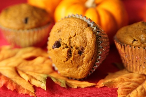 Pumpkin Chocolate Chip Muffins Recipe Photo