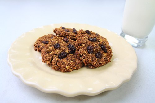 Oatmeal Pumpkin Coconut Cookies Recipe Photo Oatmeal Pumpkin Coconut Cookies Recipe Photo